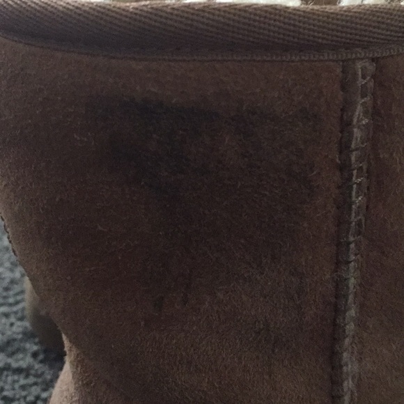 Chestnuts uggs - Picture 4 of 6